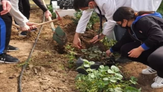 Ata Tohumları Bahçeşehir Koleji’nde yapay zeka ile yetiştirilecek