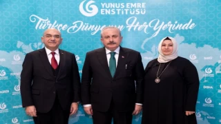 TBMM Başkanı Şentop Avusturya’da STK’larla buluştu