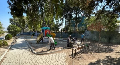 Antakya Belediyesi çim biçme ve ağaç budama çalışmaları gerçekleştirdi