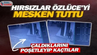 Hırsızlar Özlüce’yi mesken tuttu