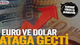 Dolar yükselecek mi? Türk lirası değerlenecek mi?