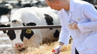 Tarımsal girdiler artışta... Veteriner harcamaları başı çekiyor